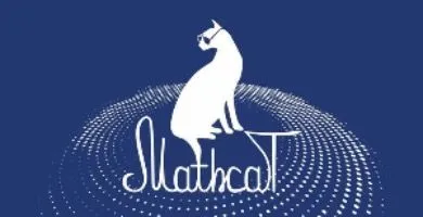 КМЭПТ стал площадкой юбилейного Всероссийского математического флешмоба «MathCat»