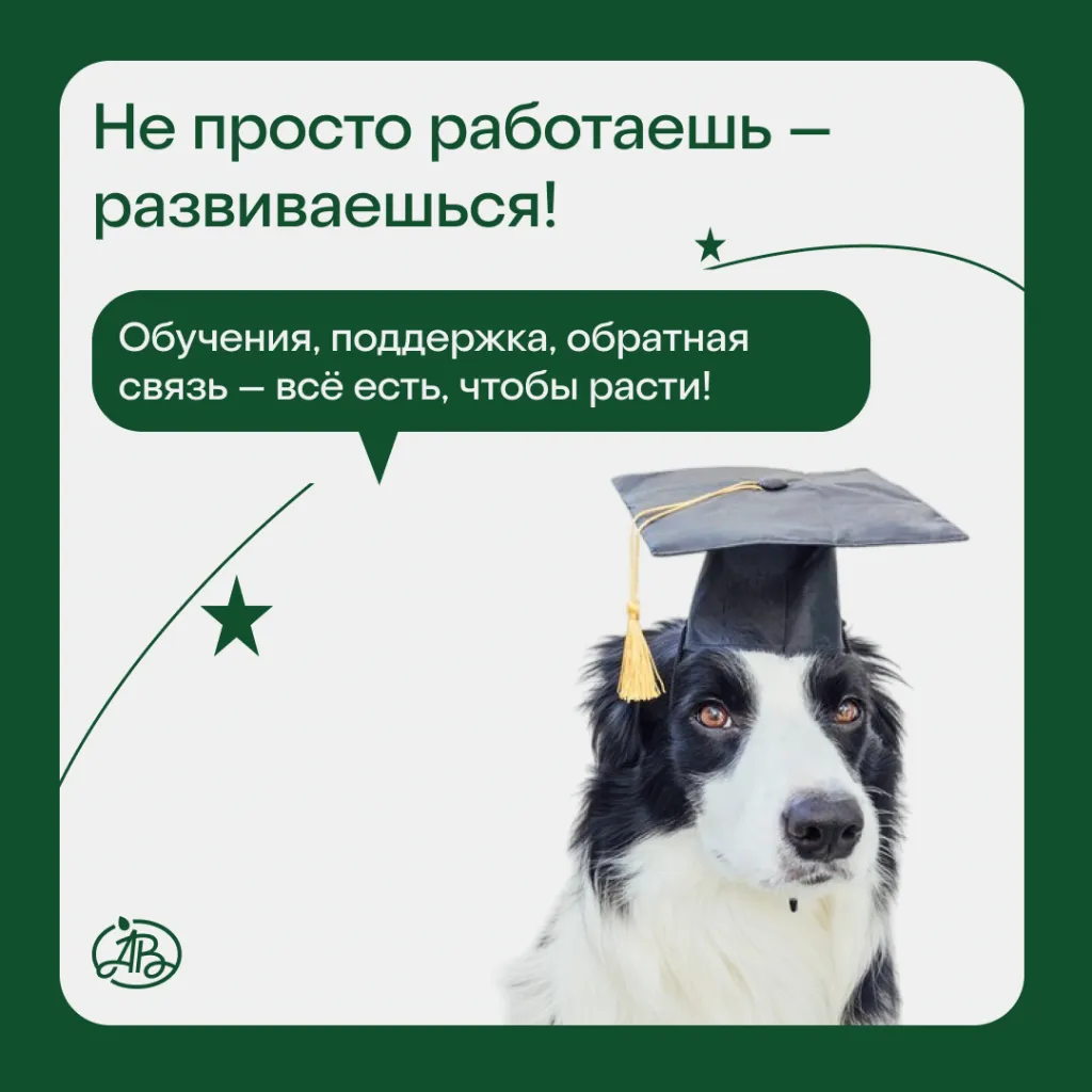 развитие.png