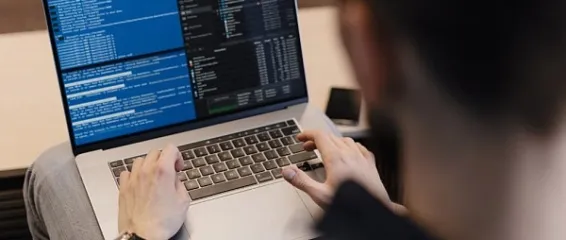 Чему учат на IT направлении в колледже Чему учат на IT направлении в колледже